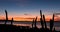 Foxton Beach River Sunset