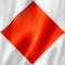 Foxtrot international maritime signal flag