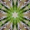 Fractal art flower green and ivory