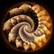 Fractal Fibonacci mandala with perfect geometry