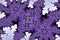 Fractal purple lilas artwork for design, art