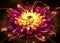 Fractal Shining Lotus - Fractal Art - 3D image