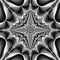 fractal surreal black white flower star