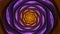 Fractal swirl flower - rotating flame fractal animation, seamless loop.