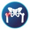 Fracture head of femur icon with main pelvic bone. Coccyx, ischium and femur.