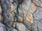 Fractured rock strata as a background, cracked rock, stone texture, many cracks in the stone