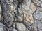 Fractured rock strata as background, cracked rock, stone texture, many cracks in the stone, fractured rock