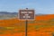 Fragile Area Sign with Poppy Meadow