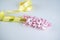 Fragile branch of pink hyacinth wrapped in yellow ribbon