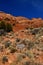 Fragile environment in Red Rock Mountains near Sedona