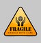 Fragile icon