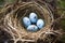 Fragile Nest bird eggs natural. Generate Ai