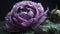Fragile strength, Purple flower defying the odds