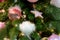 Fragment of a beautifully decorated Christmas tree. Shallow depth of field