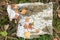 A fragment of birch bark with dried leaves.