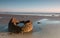 Fragment of a boulder on the ocean shore at sunrise