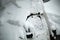 Fragment of a car under a large snowdrift. Close-up. Selective focus