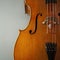 Fragment of cello or violin on gray background with place for text
