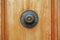 Fragment of classic wood front door with brass round decorative door handle