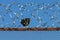 A fragment of clothes on the fence with barbed wire.