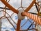 Fragment of cobweb in the playground. Detail of cross orange ropes in safety climbing outdoor equipment.