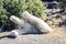 Fragment of concrete human hand in Park Gioeni, Catania, Sicily, Italy