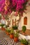 A fragment of a courtyard with flowering trees and potted flowers in the monastery of Panormitis