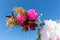 Fragment of creatively decorated wedding arch with lamps and natural flowers outdoors