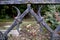 Fragment detail wrought iron old fence