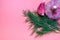 Fragment of dill and garlic on a pink background. Top view. Copyspace. Close-up. Selective focus