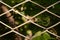 A fragment of a fence made of mesh netting.