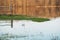 Fragment of fence standing in the water in the flooded meadows, the reflection of the forest in the river