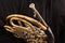 Fragment French Horn