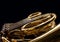 Fragment french horn closeup