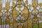 Fragment golden gate, The Catherine Palace, Tsarskoye Selo, Push