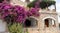 A fragment of Greek houses in flowering plants.