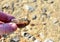 Fragment of a gypsum stone mineral in a man`s hand