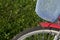 Fragment of a ladies` bicycle in red and white color. Stands in the park on the lawn. Close-up shot