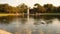 Fragment of lake, in national Park. Beautiful landscape with water fountain and ducks in pond