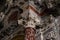 A fragment of the marble interior of the Cathedral of St. James, Sibenik, Croatia