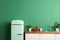 Fragment of modern Scandi style kitchen with green wall and green retro refrigerator. Wooden countertop with sink, white