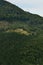 Fragment of the mountainous terrain in the Carpathians, Ukraine. The forest is forgiven by the reliefs of the Carpathian Mountains