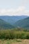 Fragment of the mountainous terrain in the Carpathians, Ukraine. The forest is forgiven by the reliefs of the Carpathian Mountains