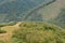 Fragment of the mountainous terrain in the Carpathians, Ukraine. The forest is forgiven by the reliefs of the Carpathian Mountains