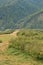 Fragment of the mountainous terrain in the Carpathians, Ukraine. The forest is forgiven by the reliefs of the Carpathian Mountains