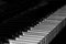 A fragment of a musical instrument - piano keys. Synthesizer