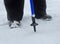 Fragment of Nordic walking stuck in  snow