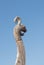 Fragment of the nose of a medieval viking ship against the blue sky