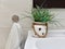 Fragment photo of bathroom, interior detail, bathroom ineterior details close up, decor, decor of bathroom