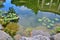 Fragment of pond with a reflection of the gazebo